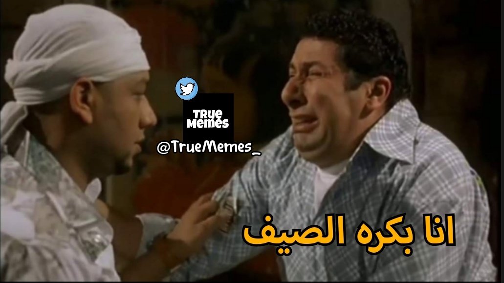 True Memes (@truememes_) on Twitter photo 