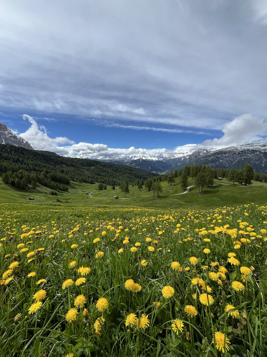 holimites tweet media