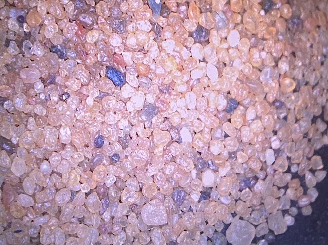 Come and check out some grains of pollen and sand down the microscope with scientists from <a href="/QEGMan/">QEG Manchester</a> at #UniversallyManchester this Saturday. We’ll be in the AMBS (Business School) location from 10am 

universallymanchester.com