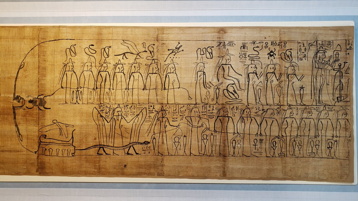 SilviaZago6's tweet photo. For #MuseumWeek 2024, here's a couple of stunning #egyptian Amduat #papyri from the local collections of @GarstangMuseum at @LivUni and @NML_Muse, which I've had the chance to study recently (publication forthcoming @EgyptCurator). Details in the ALT text.
#egyptology #heritage https://t.co/HuZrbA2umj