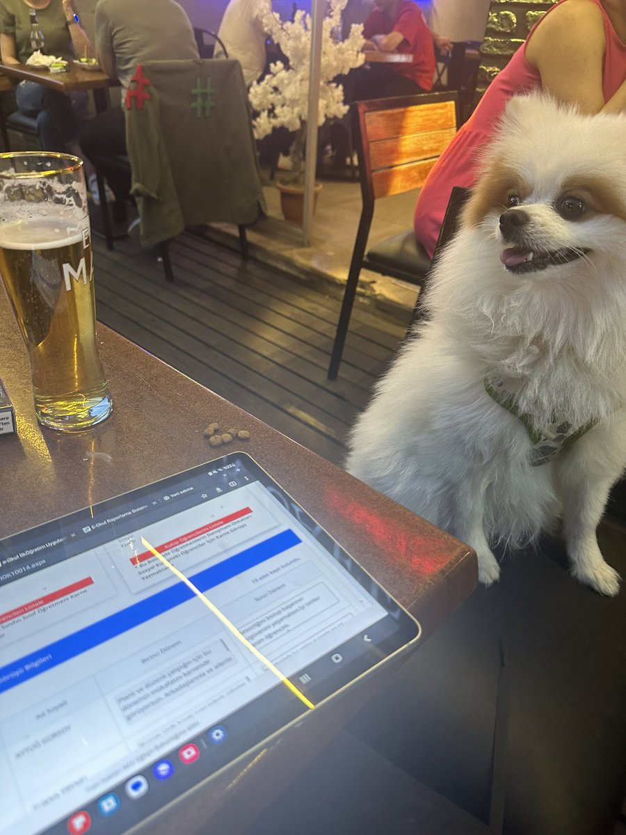 E okulu açıkken yakaladım :)