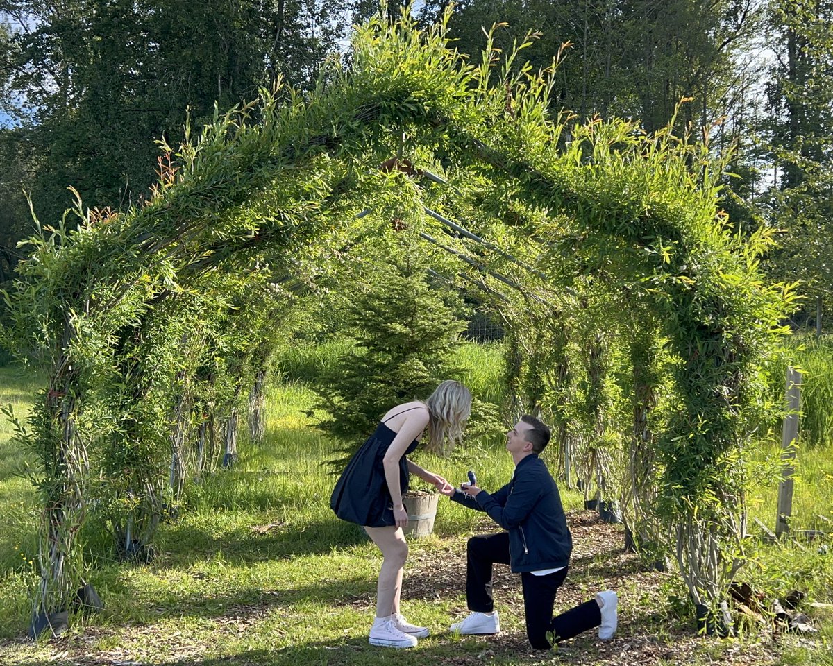 David Quadrelli tweet media