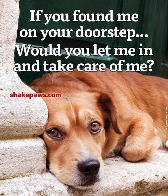 The Four Hearts tweet media