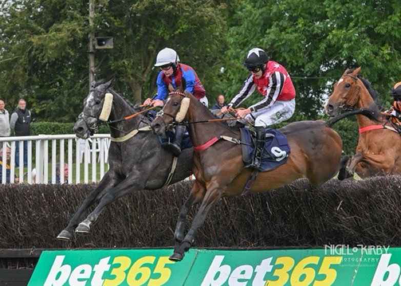 Greenall Guerriero Racing tweet media