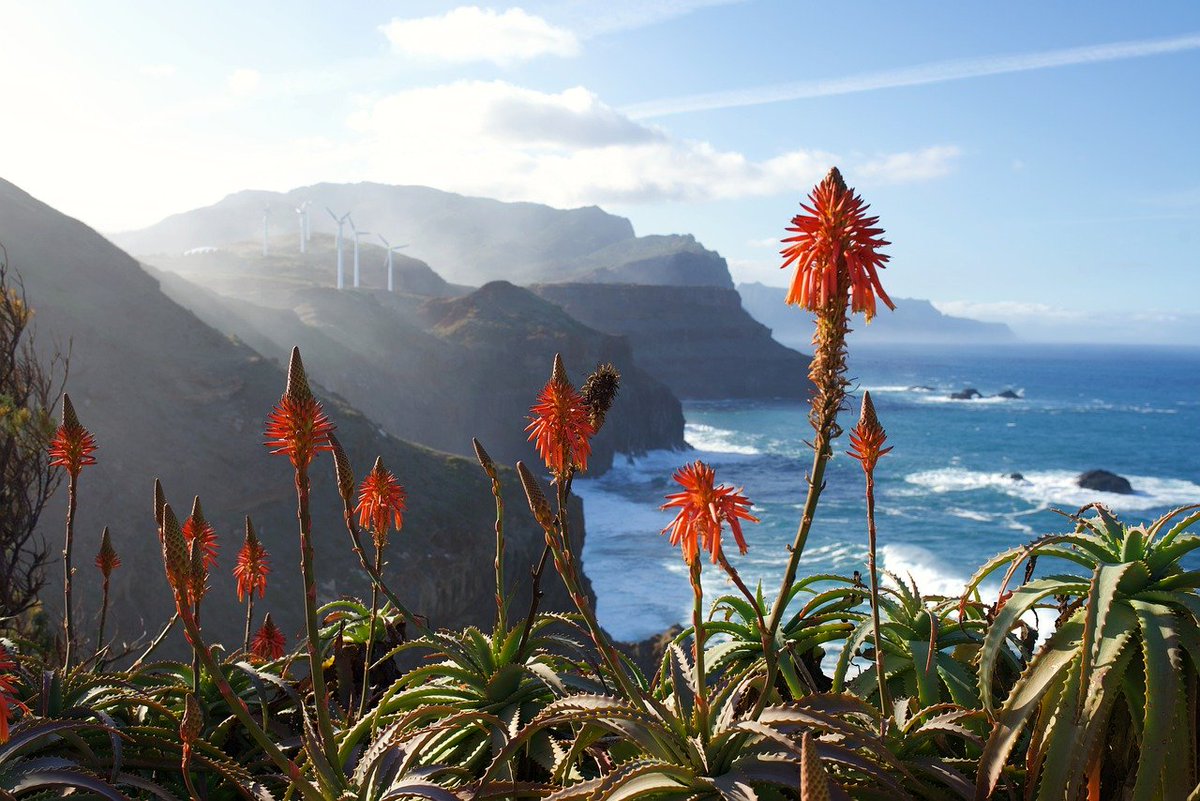 Winter Sun Savings with our Summer Sale - Winter Warmth in the Canaries 

WINTER WARMTH IN THE CANARIES
Fred. Olsen Cruise Lines
T2426
Explore the beauty, culture and landscapes of the Canary Islands and Madeira on th.....

 - View Further Details :: link.viewtrip.co/MvMB
