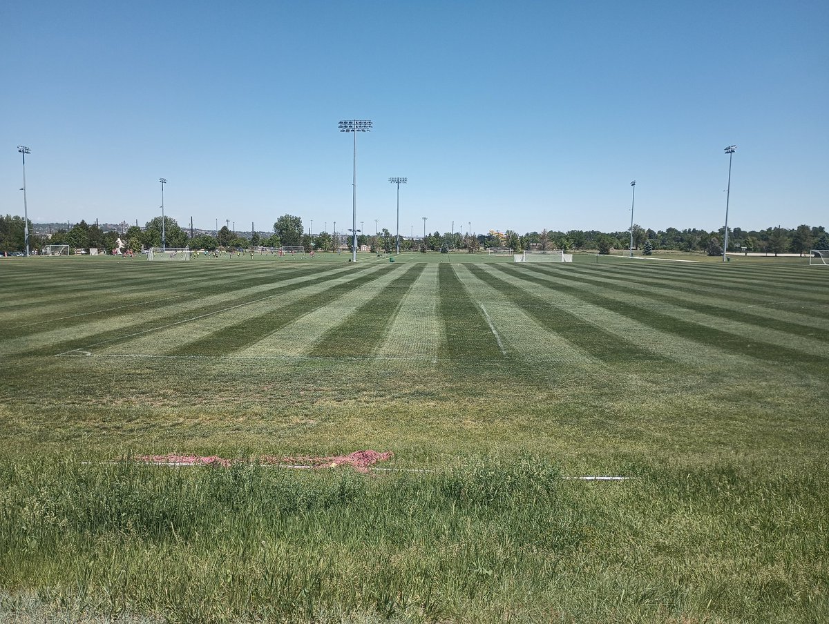 Dyl_Mack's tweet photo. Soccer is over, time to renovate! https://t.co/vX5J0F98oq