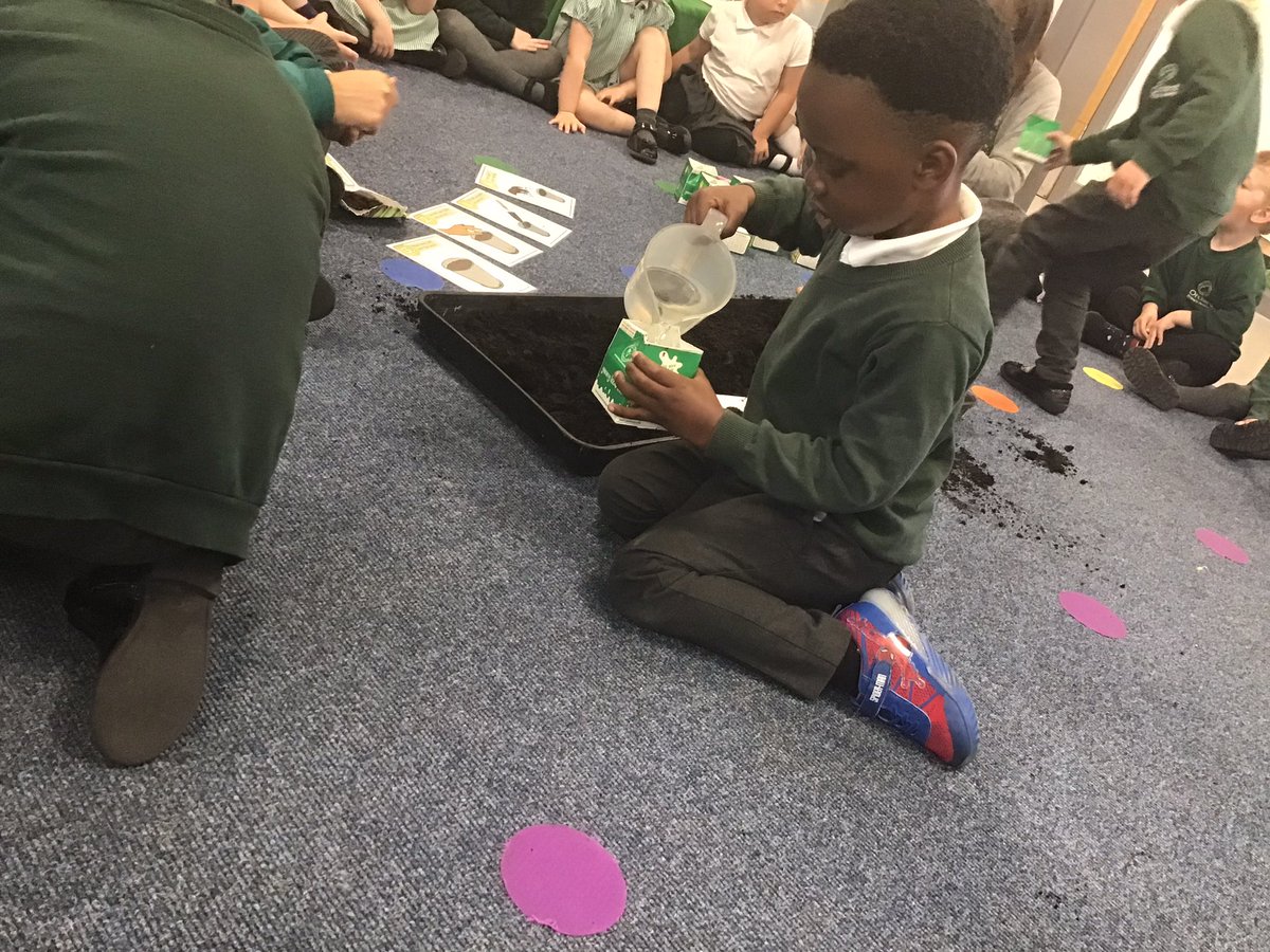 NOrchardpa's tweet photo. Today we watched the story of Jasperβs Beanstalk, then we worked together to plant our own beans. π«π±We used recycled milk cartons for our pots. Some of the children drew pictorial instructions for us to follow. #scienceatOrchard #recycling @OrchardPrimaryA @TeamPastoral https://t.co/AEulAH6o88