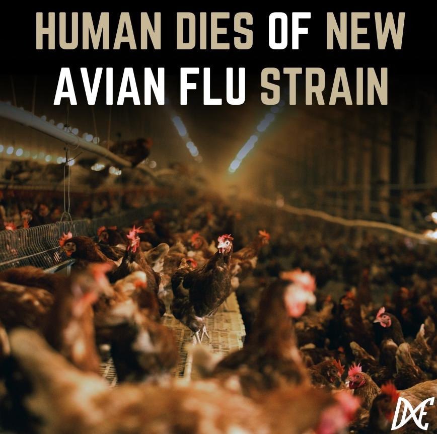 BREAKING: A man in Mexico has died after being the first human to contract the H5N2 Avian Flu variant. He had no known exposure to poultry prior to contracting the virus. Four cases of the H5N1 variant have been reported in humans in the United States since April 1. Three were