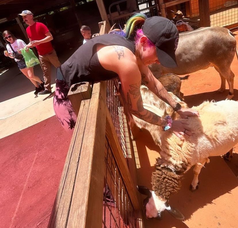 BEVSANDBOOBS's tweet photo. Animal whisperer. https://t.co/TWpTLEloMc