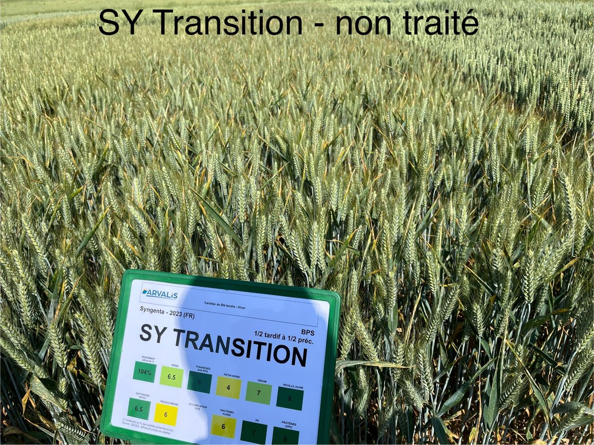 Dormion Quentin 🌱 🌽 tweet media