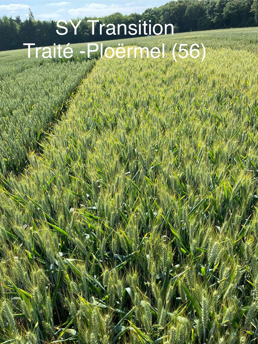 Dormion Quentin 🌱 🌽 tweet media