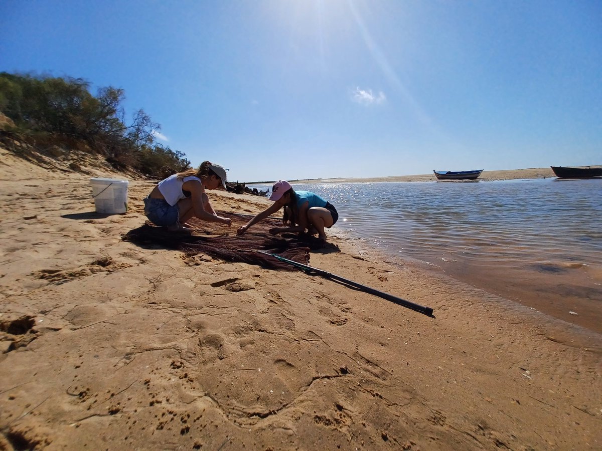 Diana Madeira tweet media