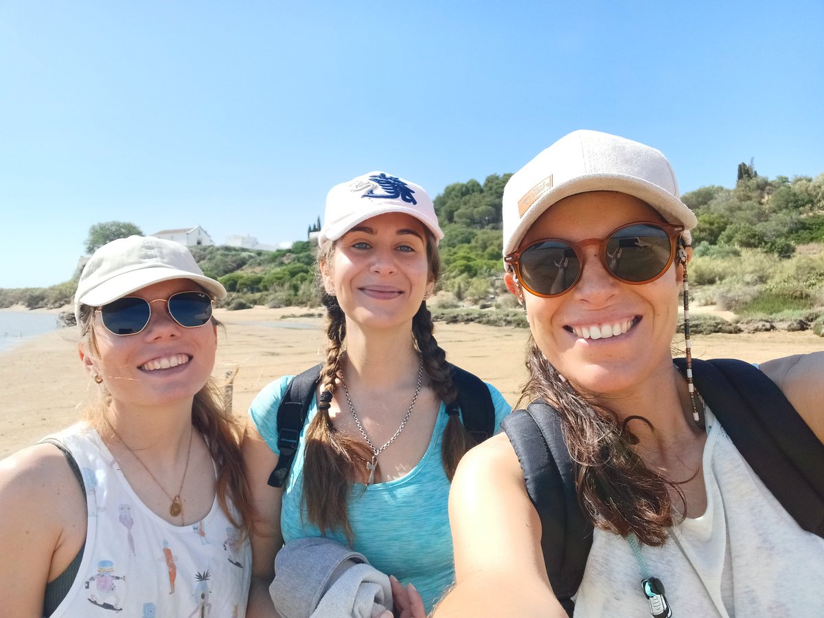 Diana Madeira tweet media