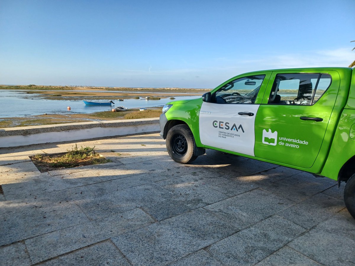 Diana Madeira tweet media