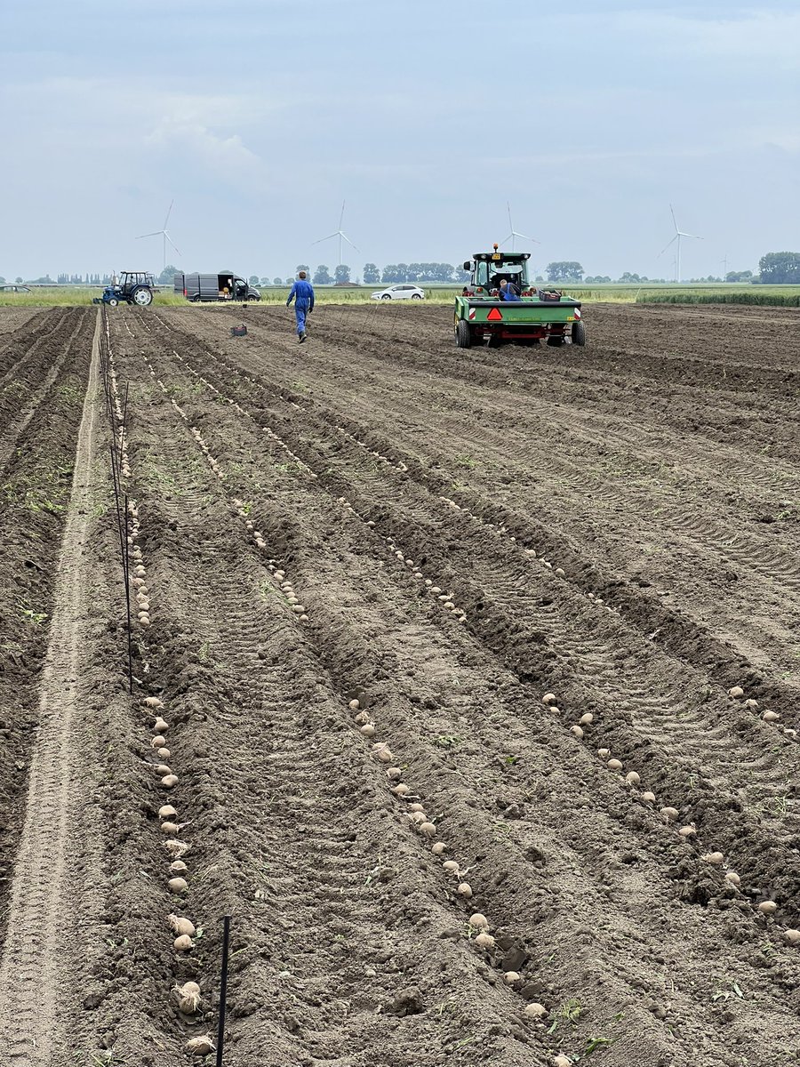 Eindelijk maar toch ! Vandaag weer wat proeven kunnen poten op de zware klei. Direct na een bewerking met de rotor kopeg kleurde de bovenlaag mooi grijs op 👌
#Bayer #Onderzoek 
@SimonJensma