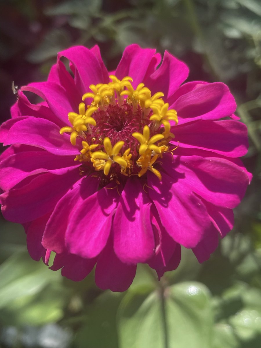 clair054's tweet image. There’s a lot to be thankful for Nature at its best