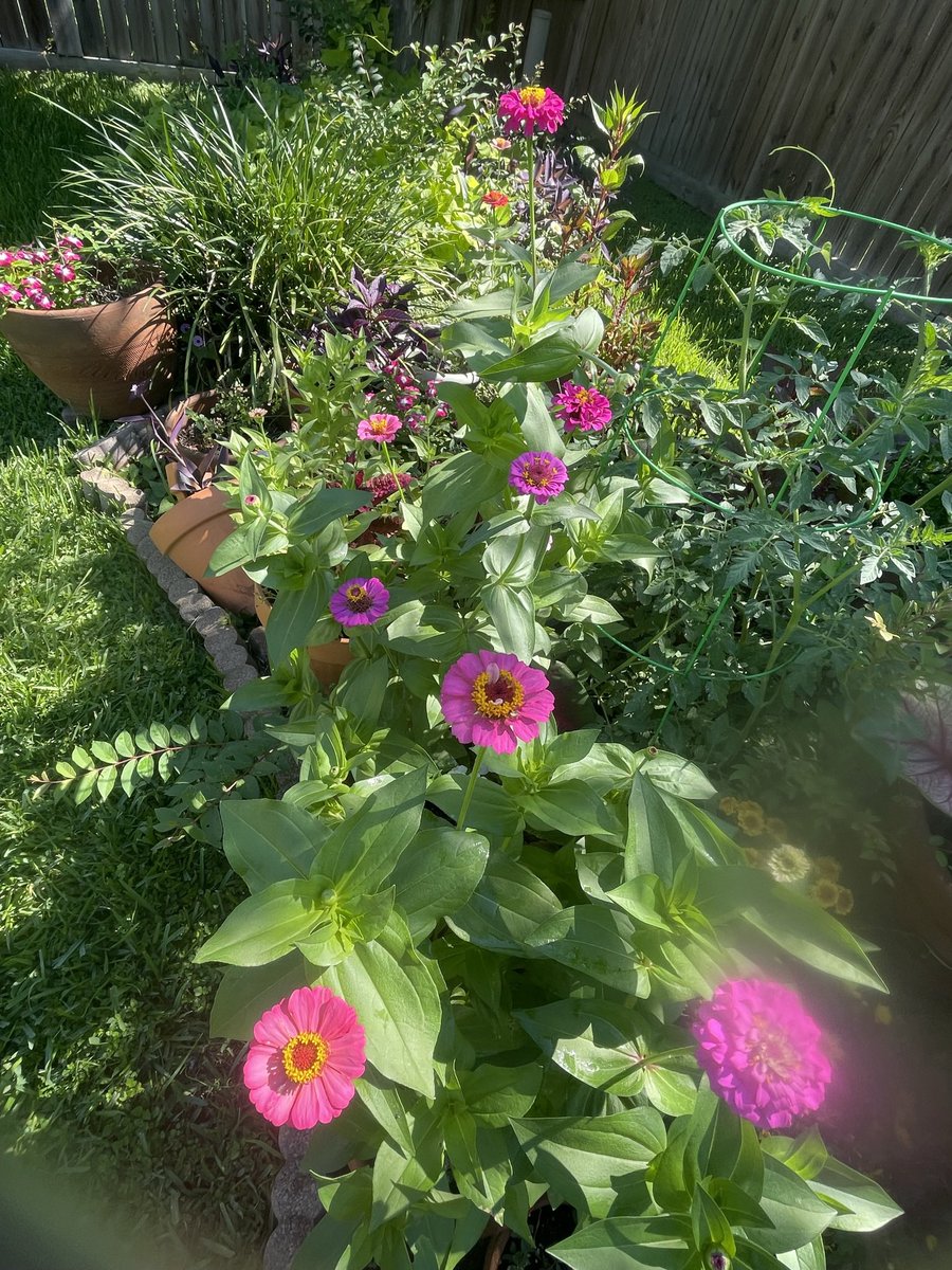 clair054's tweet image. There’s a lot to be thankful for Nature at its best