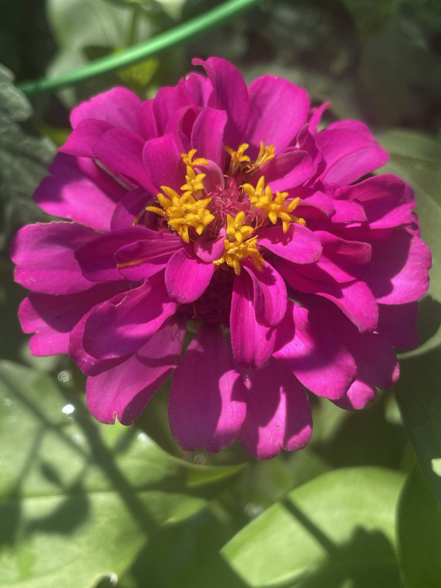 clair054's tweet image. There’s a lot to be thankful for Nature at its best