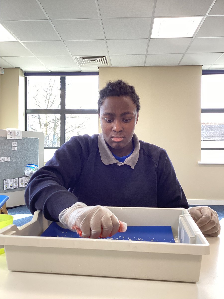 I had the absolute privilege of visiting Willow Dene’s sixth form opening event this week. The building is incredible and all of the students I met were so happy, engaged and confident in their learning pathway. The curriculum is inspirational!@WillowDeneSch <a href="/CompassSchools/">The Compass Partnership of Schools</a>