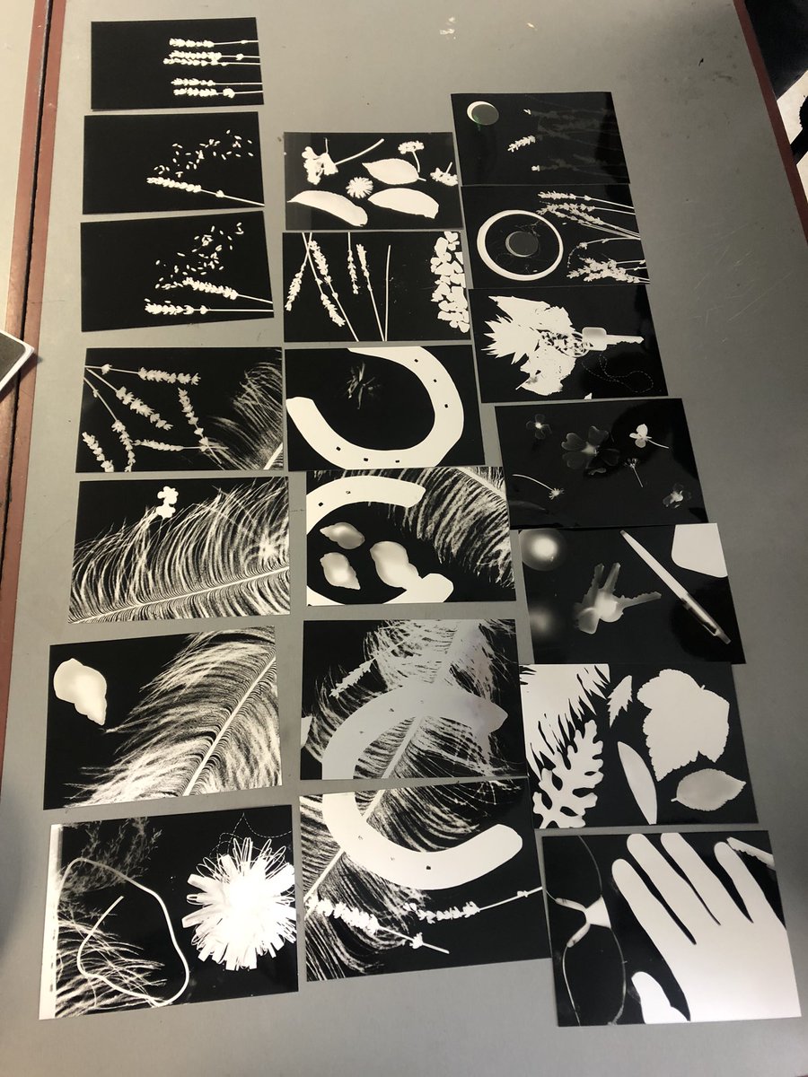 Darkroom fun with our year 2 14-16s. <a href="/MyerscoughColl/">Myerscough College & University Centre</a> #photography #college #defendthedarkroom