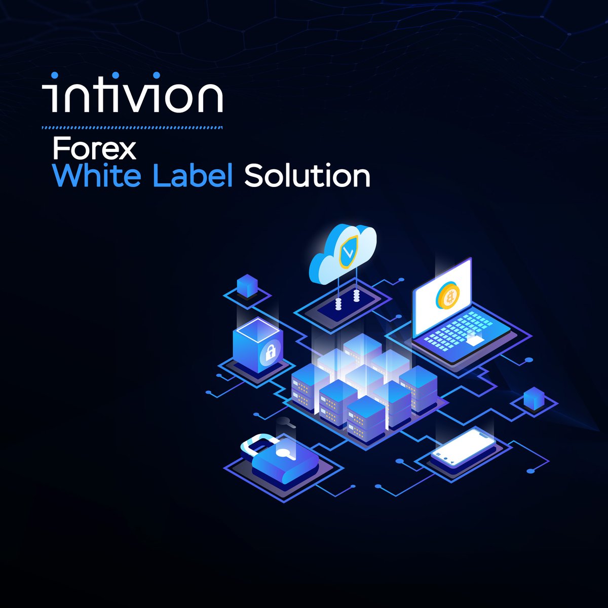 intiviontech's tweet photo. 🌟 Start-up or established broker? We have solutions to meet your needs. Choose our trading platform with an integrated back-office or an advanced premium CRM. 

💬 Talk to us today! info@intivion.com
🌐Web: https://t.co/EmqYc0pCuW
#WhiteLabel #Intivion https://t.co/bPahAKIysM