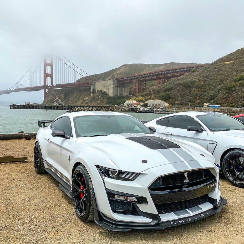 Auto_Porn's tweet photo. 🐍🐍🐍 https://t.co/UQeoNkzZRc