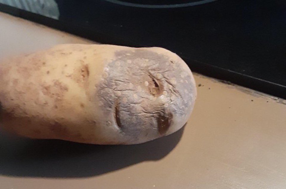 Gordon 🐂 tweet media