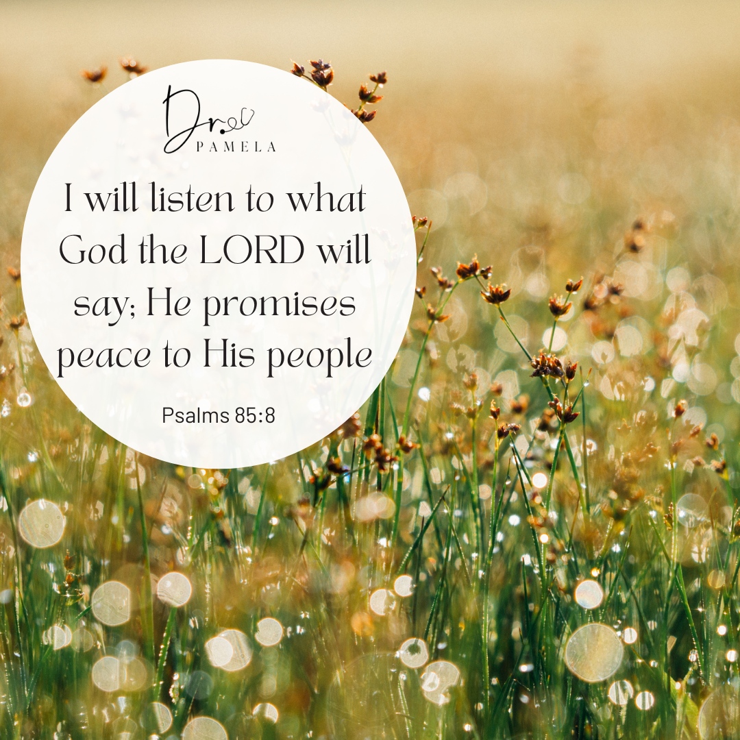 One way we can seek peace is by listening to the Lord. This may look like reading our Bible. It might look like bowing our head in prayer, or even taking a walk in nature. When we make a conscious effort to listen to the words of our Lord and Savior, He will fill us with His p...