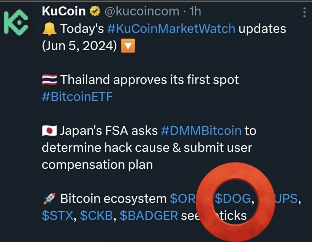 Tier 1 CEX are gearing up to list $DOG on SPOT Trading👀 

Historically CEX's with leverage trading list tokens before spot trading. Once T1 spot trading goes live from <a href="/okx/">OKX</a>, <a href="/kucoincom/">KuCoin</a>, <a href="/krakenfx/">Kraken</a>, <a href="/HTX_Global/">HTX</a> and <a href="/binance/">Binance</a> it will be game over for the bears!