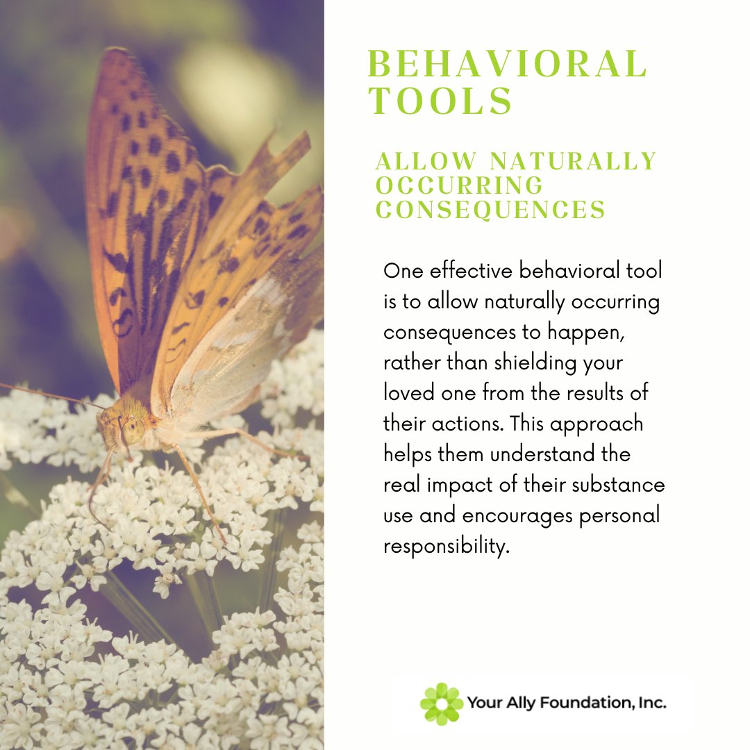 ally_foundation's tweet photo. #InvitationToChangeApproach
#HelpingWithAction
#BehavioralTools
#AllowNaturallyOccurringConsequences

One effective behavioral tool is to let naturally occurring consequences happen. 

⏭️https://t.co/pGWqLKAadw https://t.co/0HBAP3lIU7