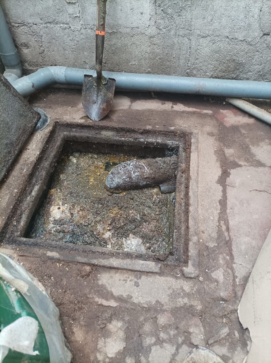 Alonsobrio tweet media