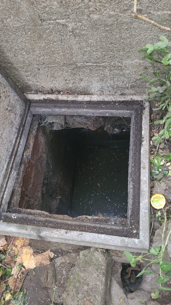 Alonsobrio tweet media