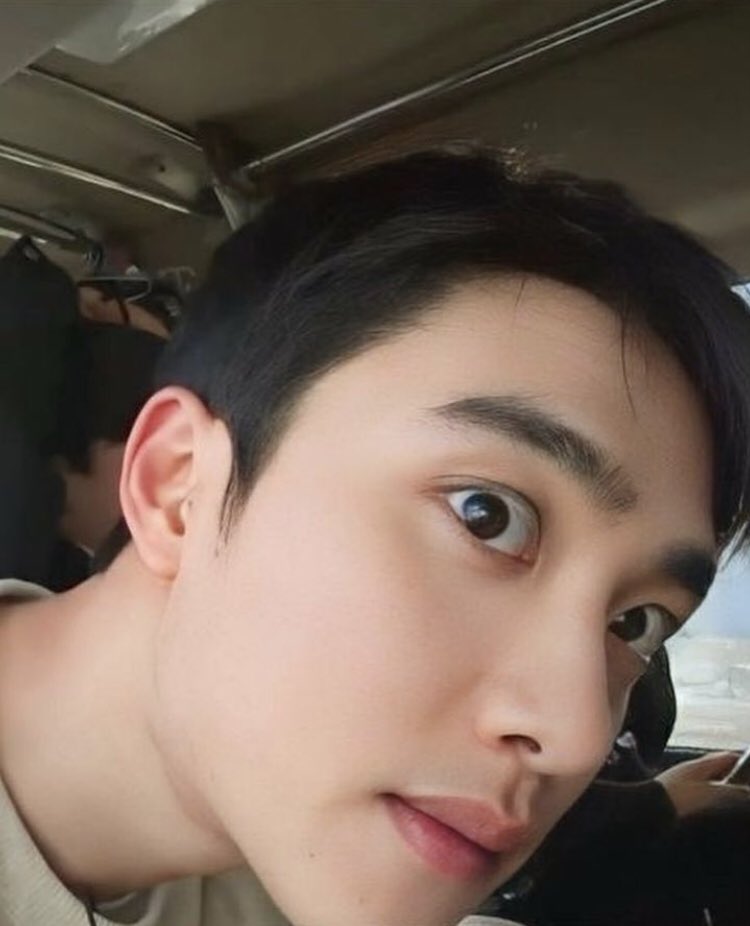 momordinarydays's tweet image. curious kitten