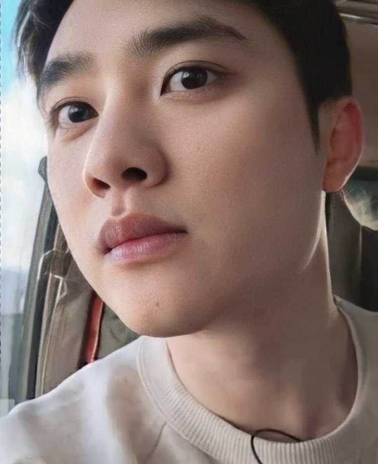 momordinarydays's tweet image. curious kitten