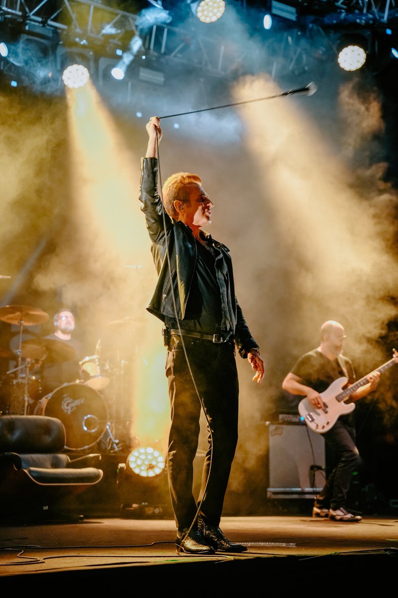 Live From Fest tweet media