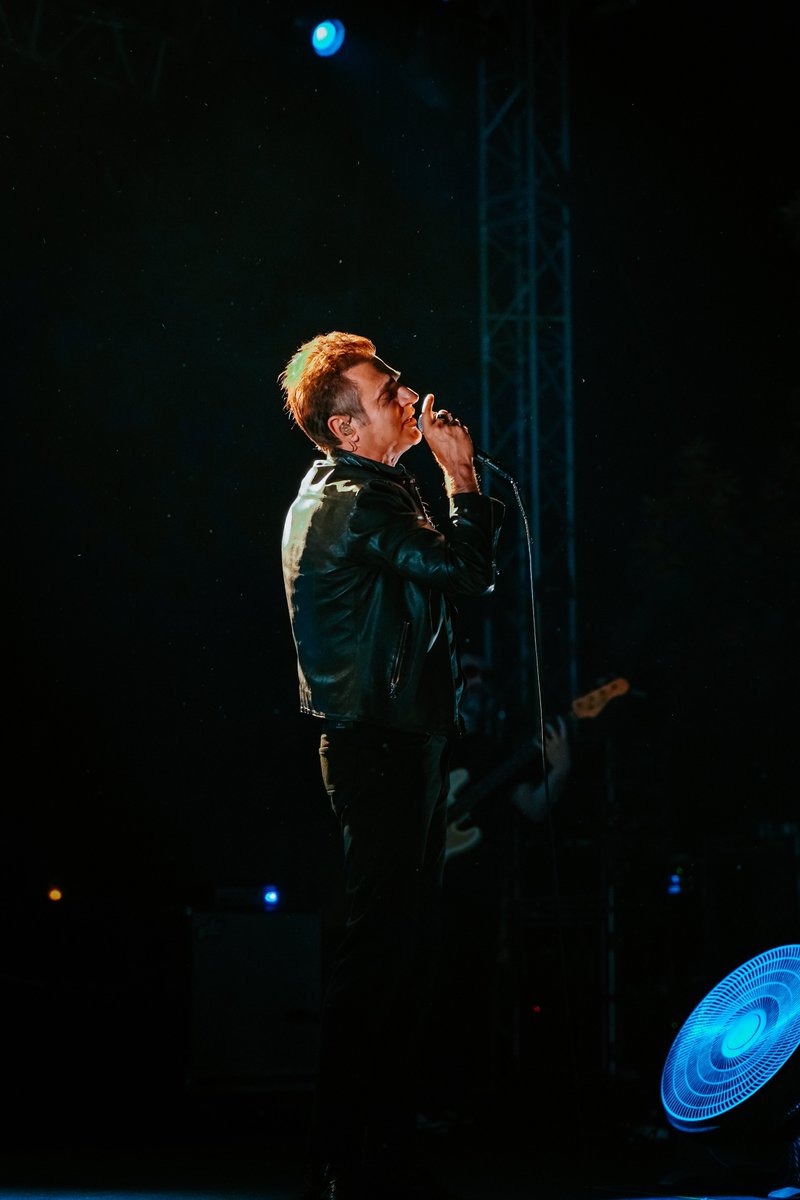 Live From Fest tweet media