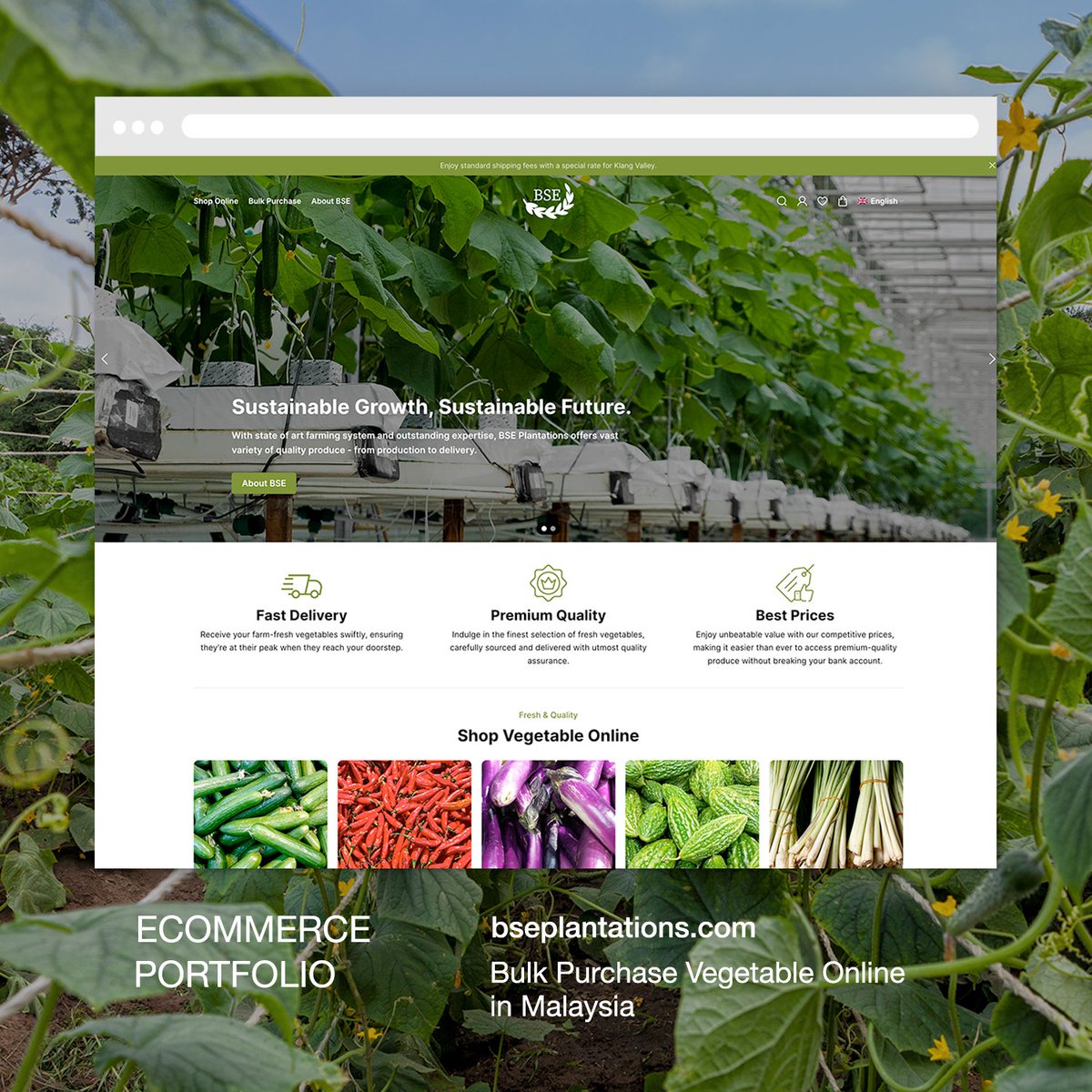 thisiswebninja's tweet photo. Ecommerce Web Design &amp; Development for BSE Plantations. Check it out at https://t.co/n8pAsvmf6l

#webdesign #wordpress #webdesignmalaysia #webdevelopment #website #websitedesign #websitedesignmalaysia #ecommerce #onlinestore #woocommerce #ecommercewebsitedesign https://t.co/FRLGcZ8XkC