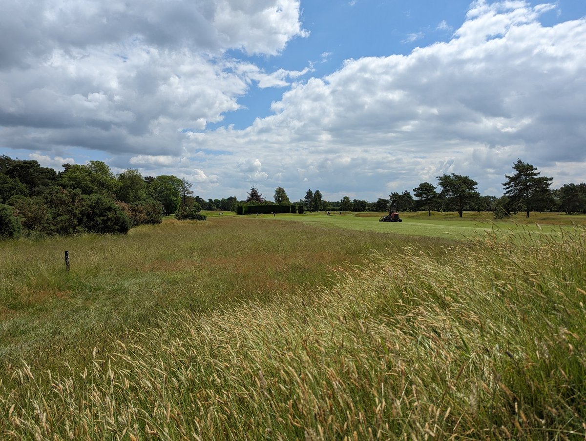 Kimberley Yeldham tweet media