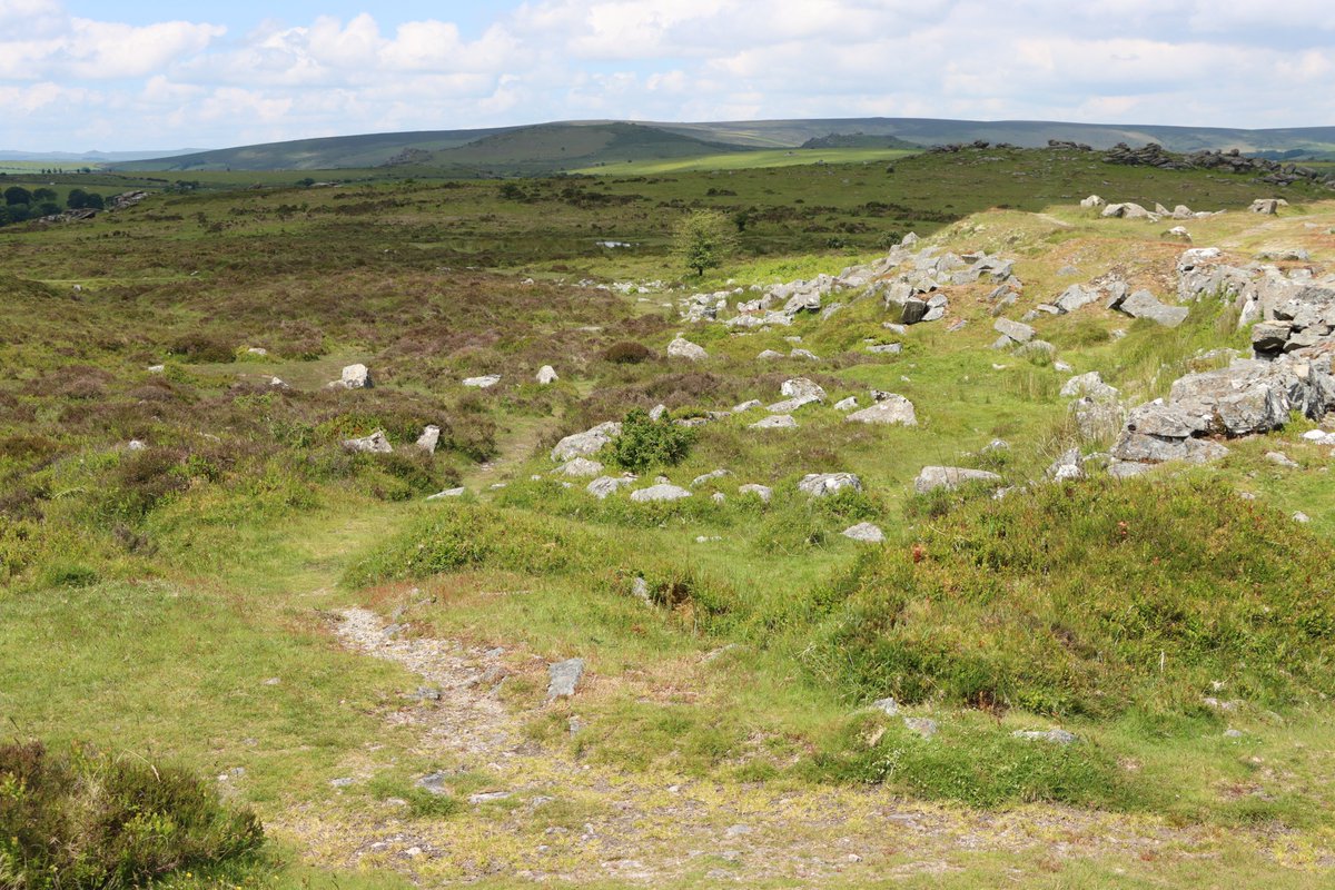 mw_lovett's tweet photo. Haytor, Devon.
#mwlphoto #haytor #devon https://t.co/xcCAJ1gcty