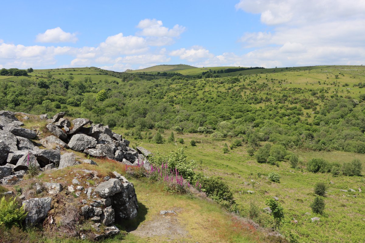 mw_lovett's tweet photo. Haytor, Devon.
#mwlphoto #haytor #devon https://t.co/xcCAJ1gcty