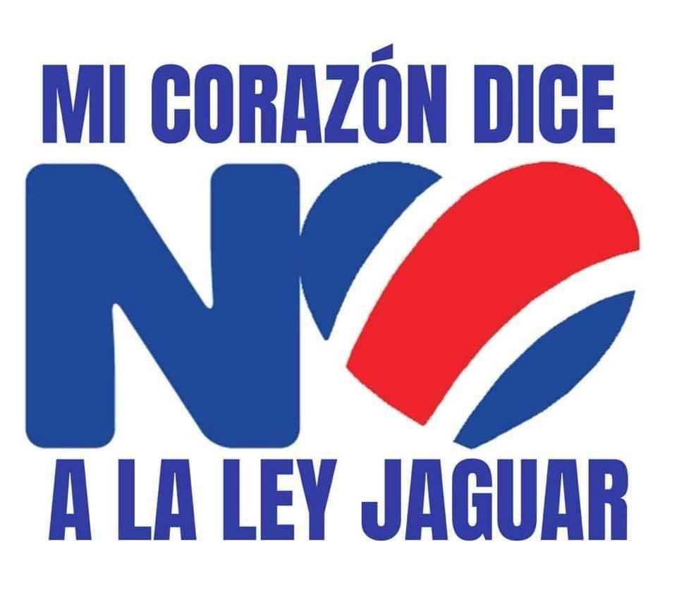 AnaElenaObando's tweet photo. Y dice NO a todo lo que implique el desmantelamiento de la institucionalidad democrática, de los controles legales que la Constitución Política y el resto del ordenamiento jurídico establecen para evitar la corrupción y los autoritarios populistas que creen que CR es una finca. https://t.co/JAMDOOxQHX
