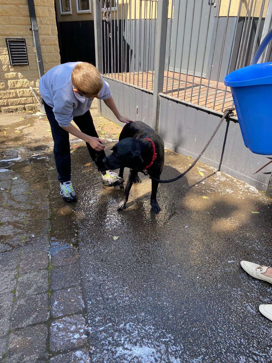 Pamper time for Poppy… essential when you roll in poo on a walk! #schooldog #schoolpet #nurture #semh