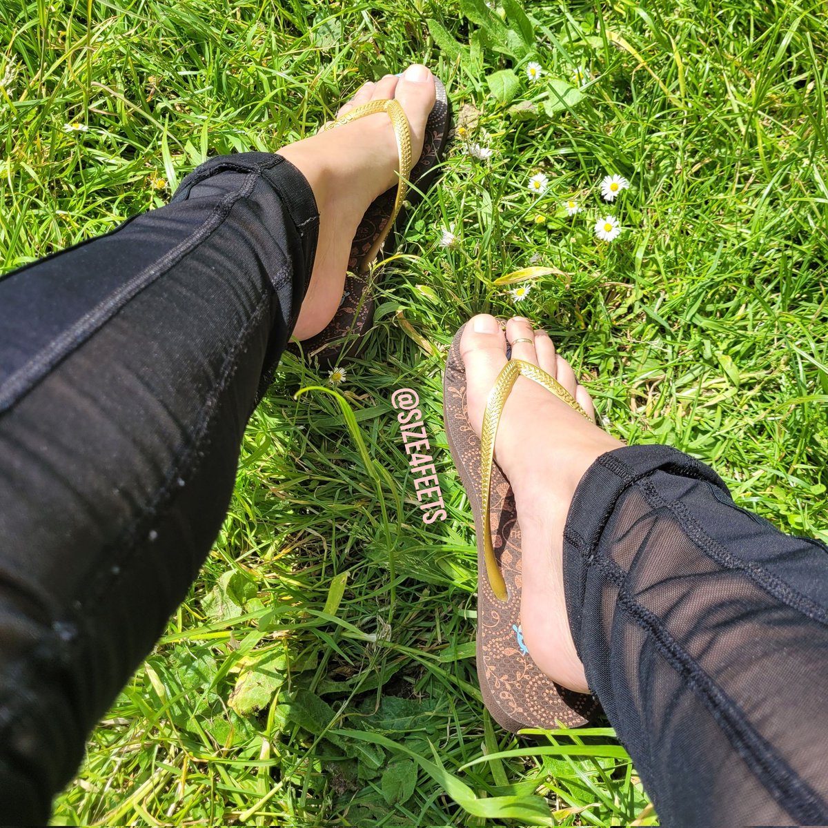 size4feets's tweet photo. Flip-flop season back 😏🩴🌞 https://t.co/P9L8IL5Xii