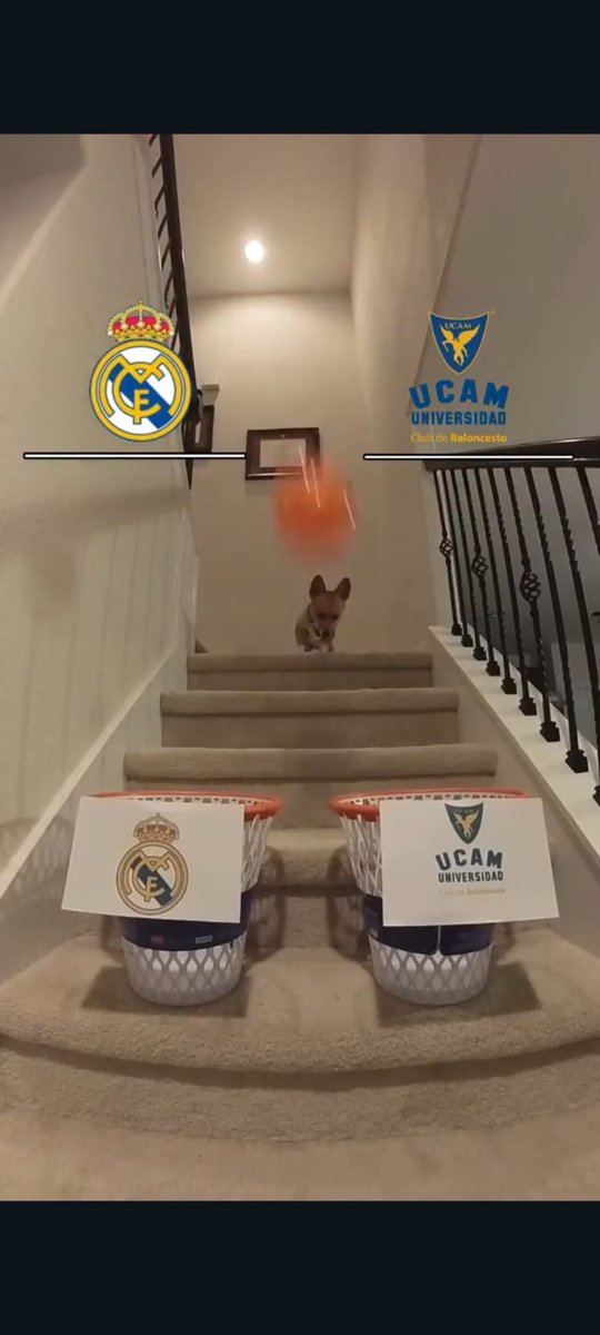 ACBCOM's tweet photo. Sé que todos lo estabais esperando desesperadamente, así que…

SE VIENEN COSITAS 🐶 https://t.co/g5y2HMKhoB