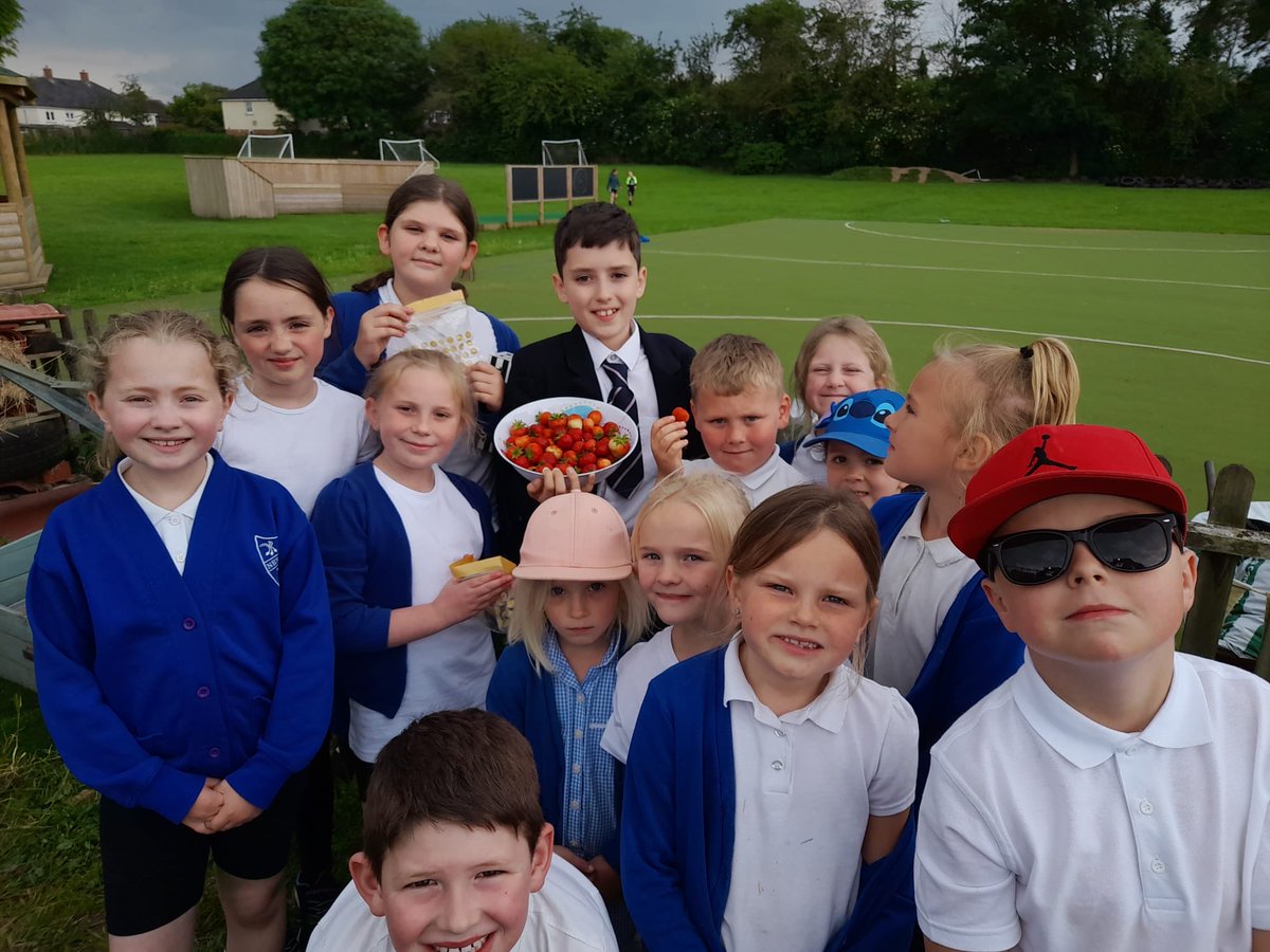Gardening Club had fun harvesting their first crop of Strawberries today. They looked &amp; smelt delious 🍓🍓