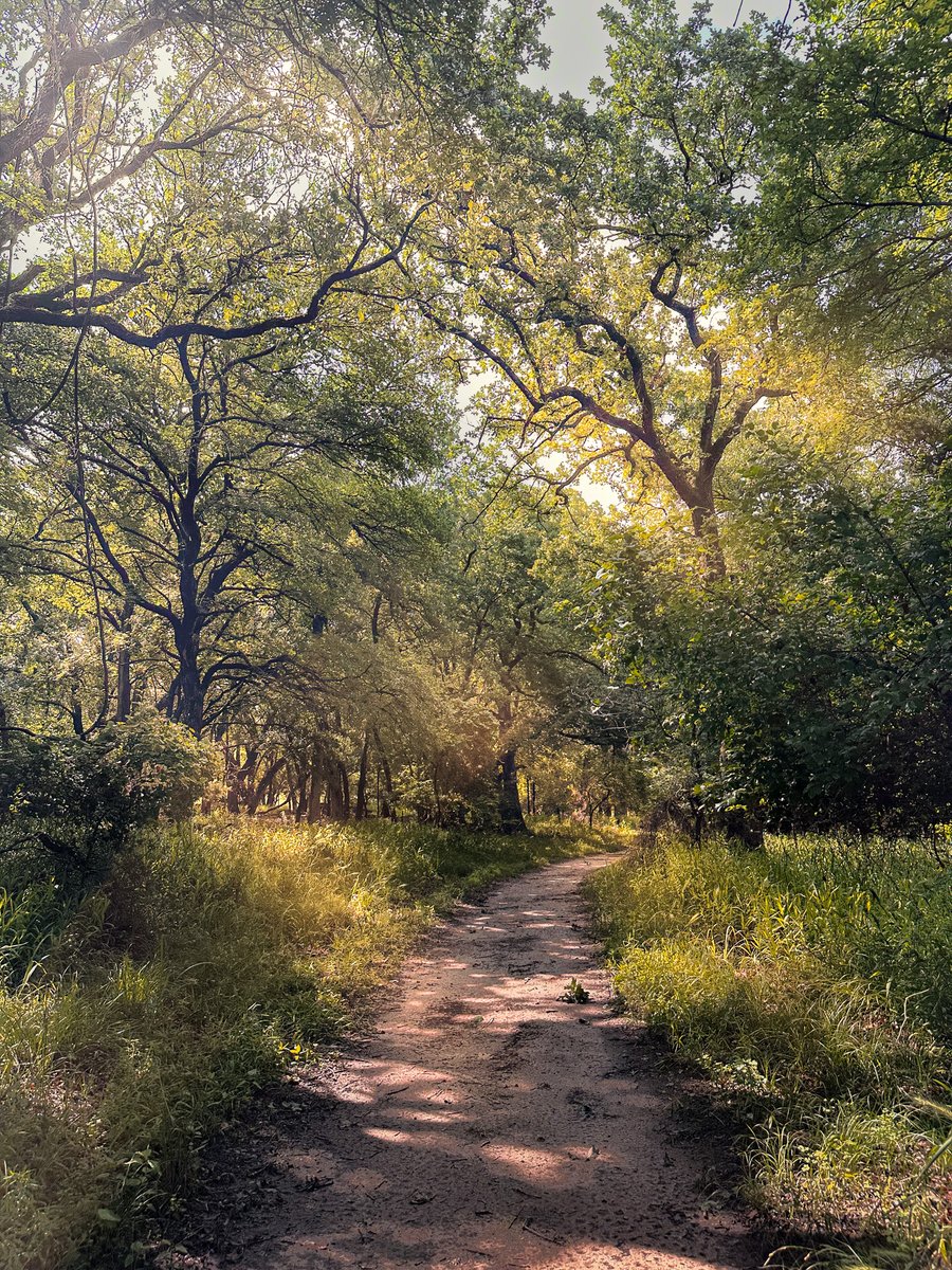 "To the dreamers, wide-eyed believers, hanging on to hope by a thread." -For King and Country

What is your dream?

#dreamer #hope #forkingandcountry #Whatsyourdream #dream #dreamon #threads