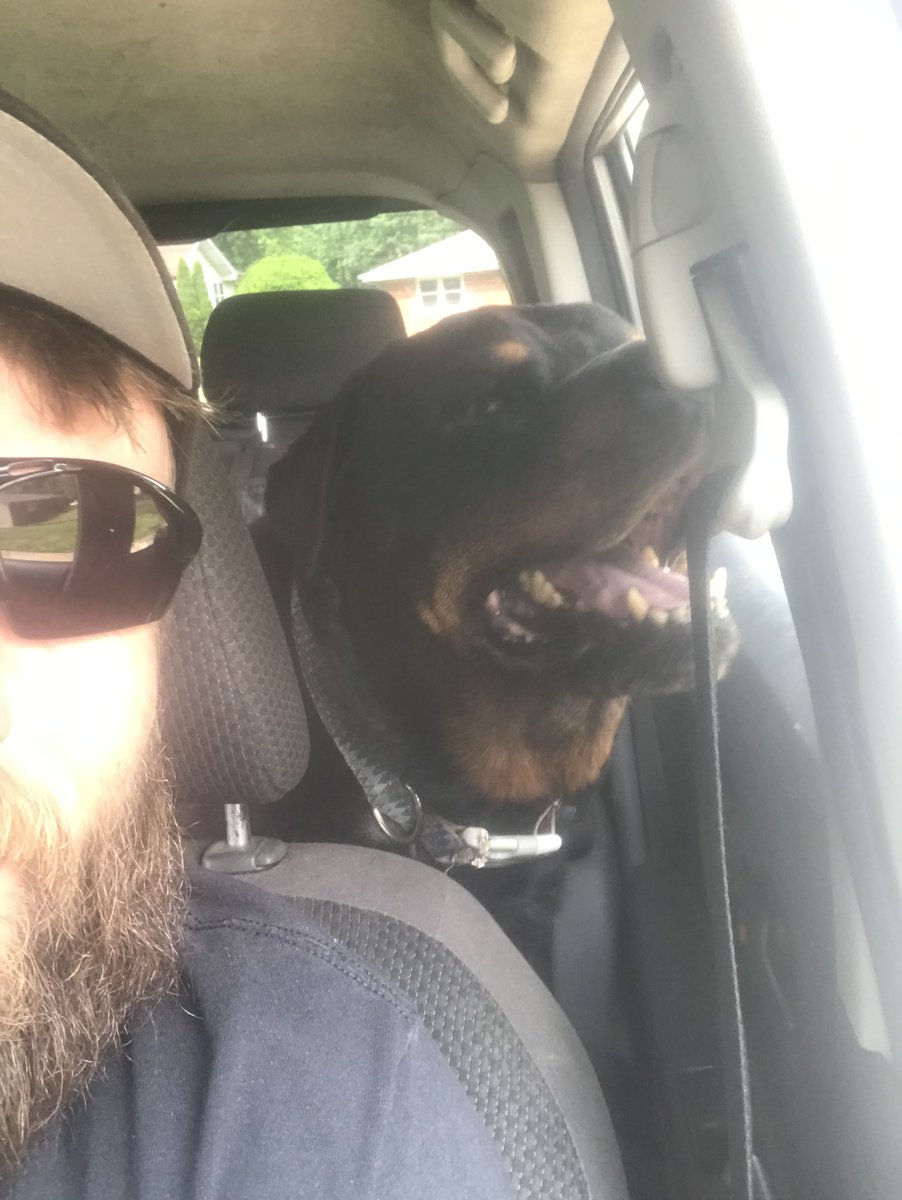 MoPΞΞT.ΞTH Filter 👑 🍌Degen to the max (@mopeet1) on Twitter photo One year ago today I lose my best friend Bosco. Best doggo an ape could ever ask for. Not a day goes by. I don’t think about you buddy. We miss you so much. I hope you’re doing good on the other side. I love you buddy One year ago today I lose my best friend Bosco. Best doggo an ape could ever ask for. Not a day goes by. I don’t think about you buddy. We miss you so much. I hope you’re doing good on the other side. I love you buddy