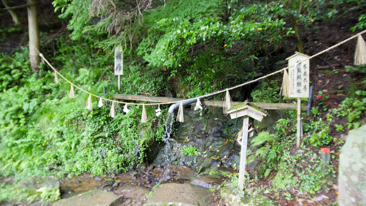Keizo_Studio's tweet photo. 島根県雲南市大東町須賀にあります須我神社奥宮。
登山コースの途中にあり、夫婦岩で有名です。
まるでジブリの世界のような景色で、現代から神話の時代にタイムスリップした感覚になりました。
#島根 #須我 #奥宮 #夫婦岩 #shimane #suga https://t.co/KDZBgPOqW0