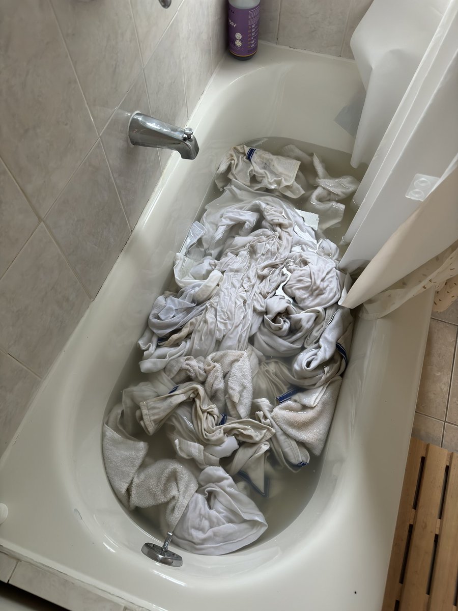 Minnow Park tweet media