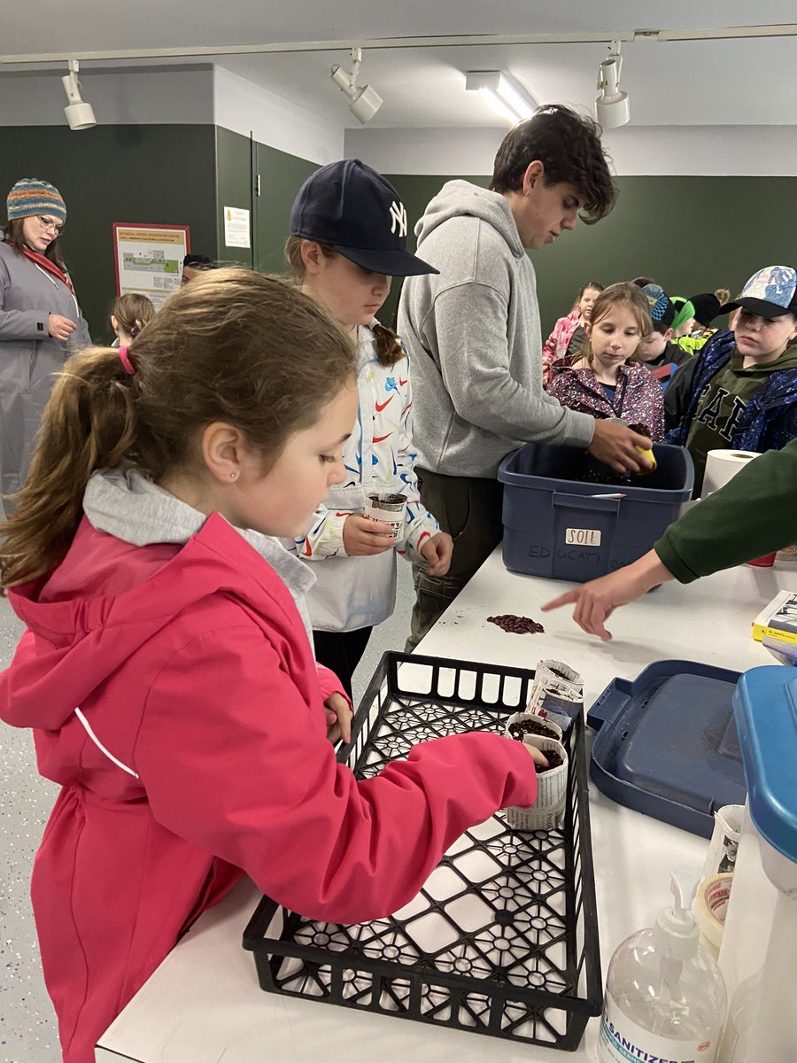 Ms. Renée Nolan tweet media